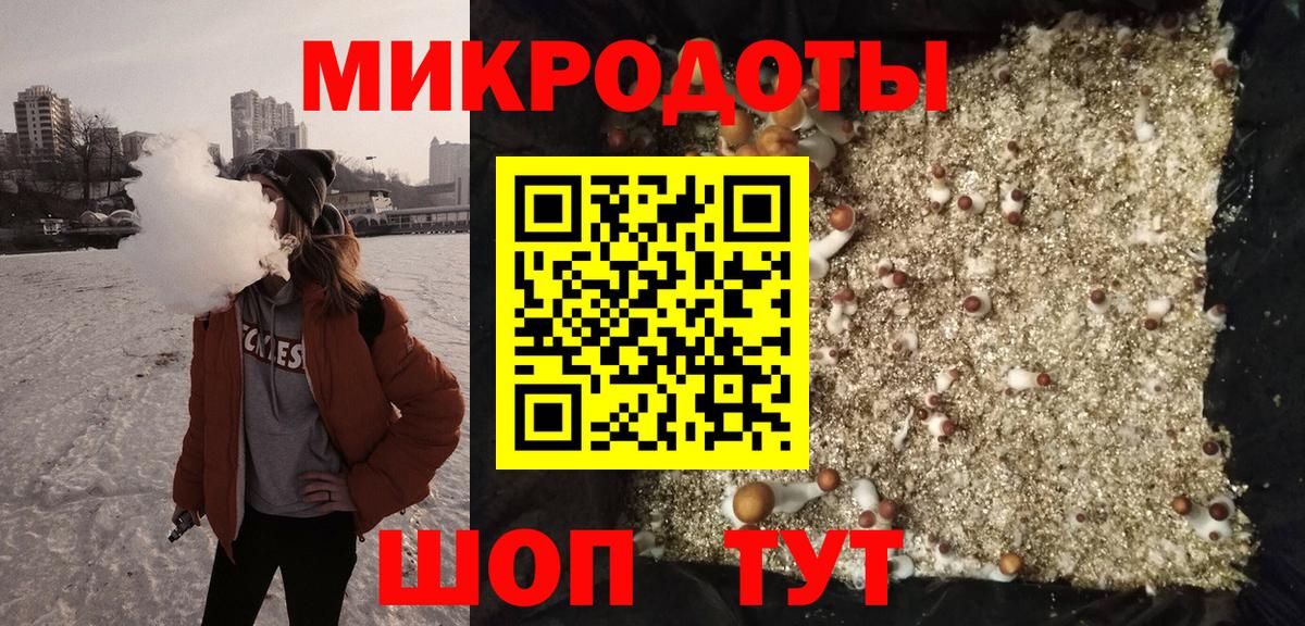 Псилоцибиновые грибы Cubensis Гусь-Хрустальный