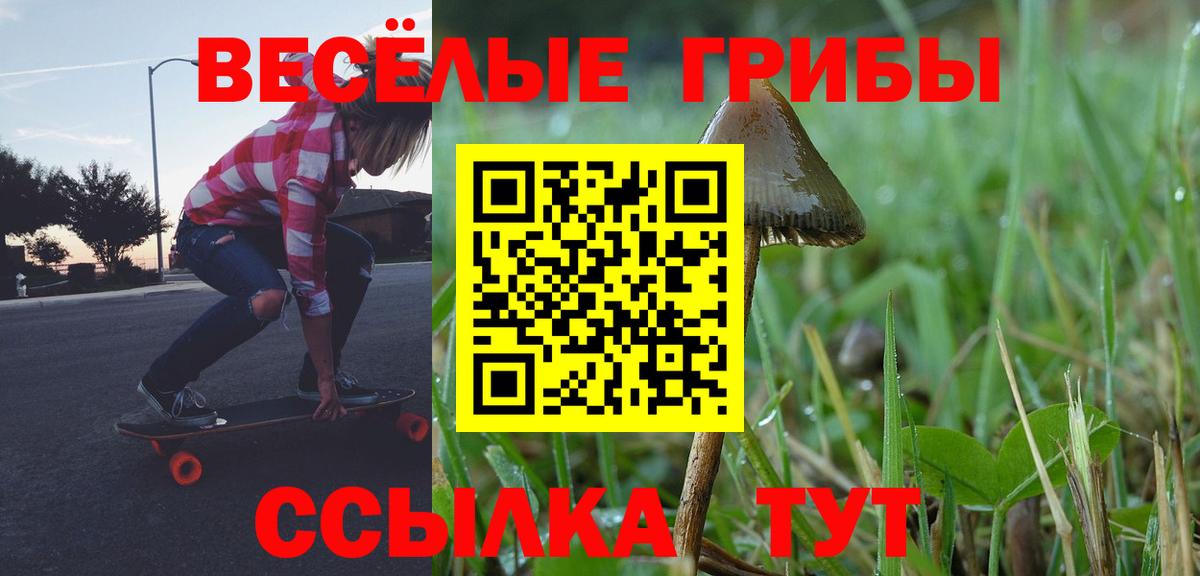 Псилоцибиновые грибы Magic Shrooms  Вход с VPN  Гусь-Хрустальный 